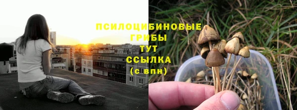 гашик Пересвет