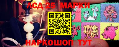 гидропоника Славгород