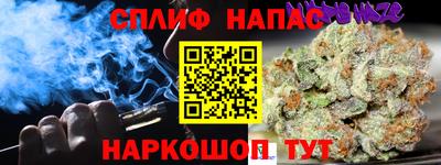 гидропоника Славгород
