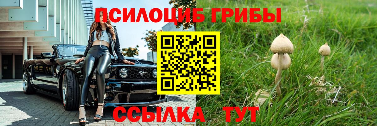 Псилоцибиновые грибы ЛСД  Вход с VPN  Россошь  Псилоцибиновые грибы Magic Shrooms 